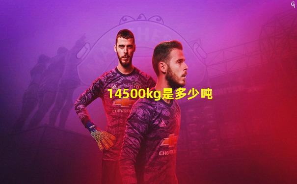 14500kg是多少吨