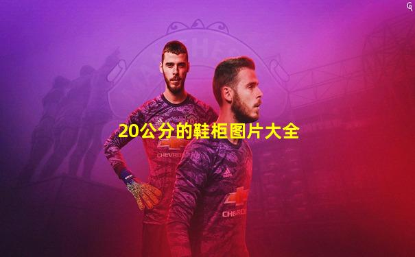 20公分的鞋柜图片大全