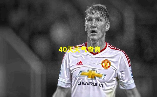 40天天气查询