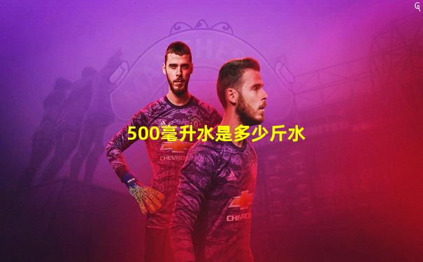 500毫升水是多少斤水