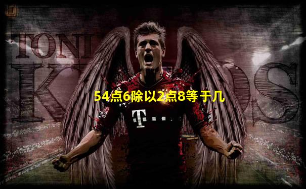 54点6除以2点8等于几