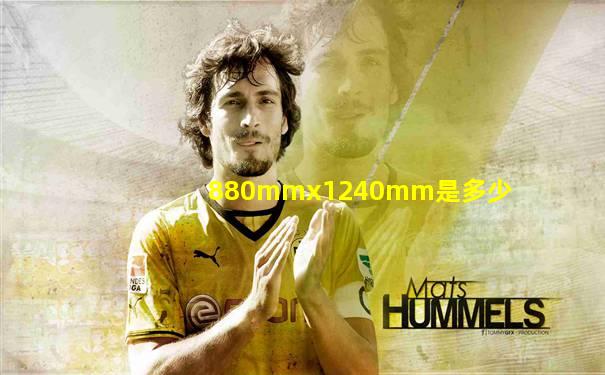 880mmx1240mm是多少