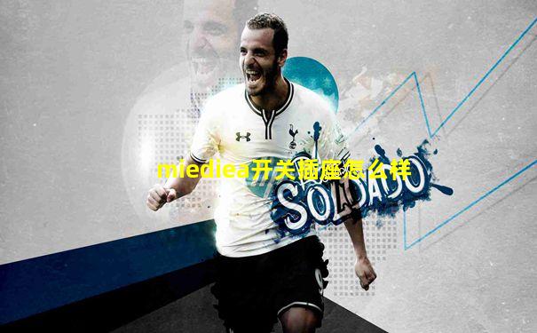 miediea开关插座怎么样