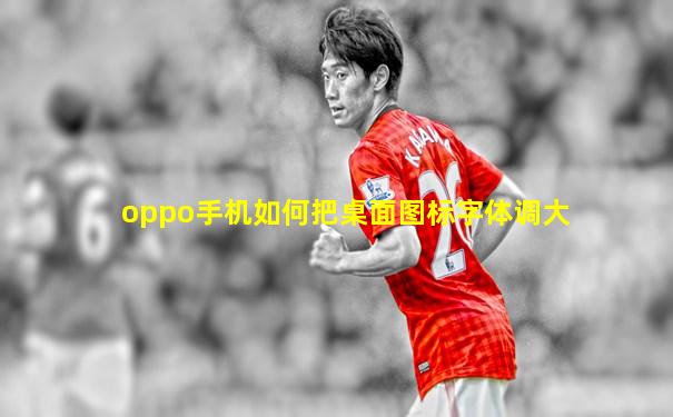 oppo手机如何把桌面图标字体调大