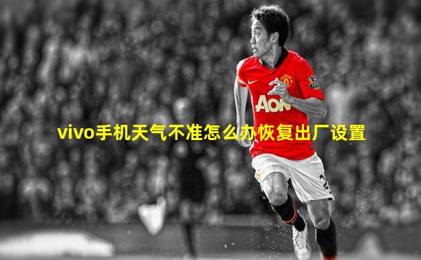 vivo手机天气不准怎么办恢复出厂设置
