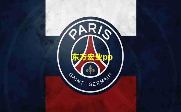 东方宏业pp