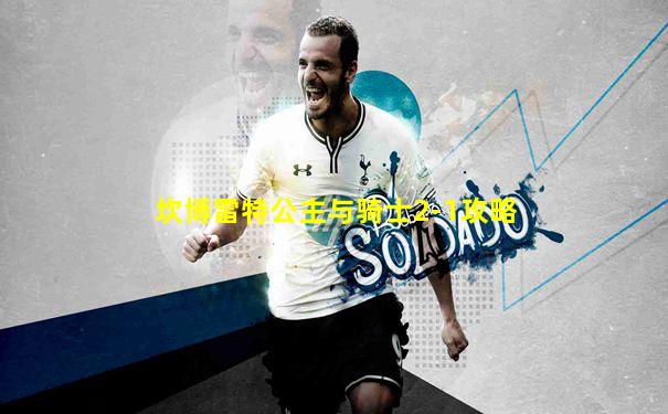 坎博雷特公主与骑士2-1攻略