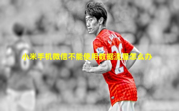 小米手机微信不能使用数据流量怎么办
