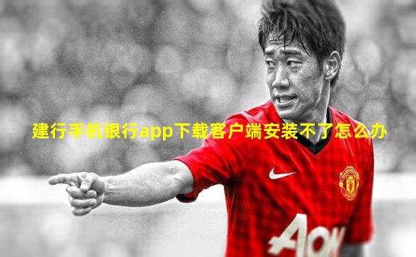 建行手机银行app下载客户端安装不了怎么办