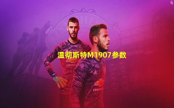 温彻斯特M1907参数