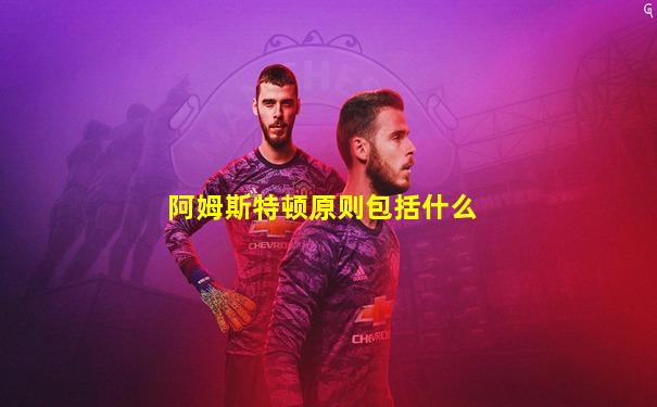 阿姆斯特顿原则包括什么
